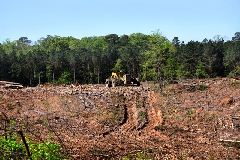 Bulldozer Clearing Land
